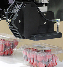 A plastic container full of strawberries is being labelled with an automated label applicator